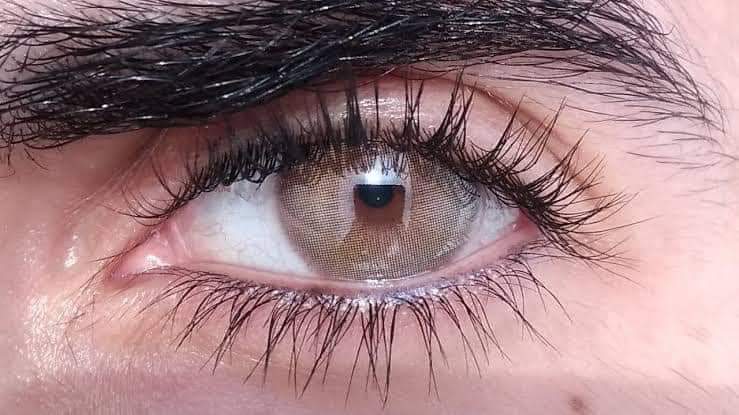 Angeles N brown