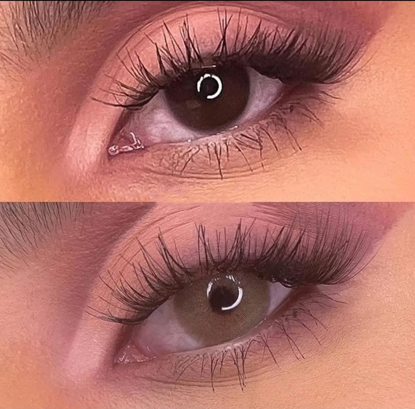Angeles N brown RX