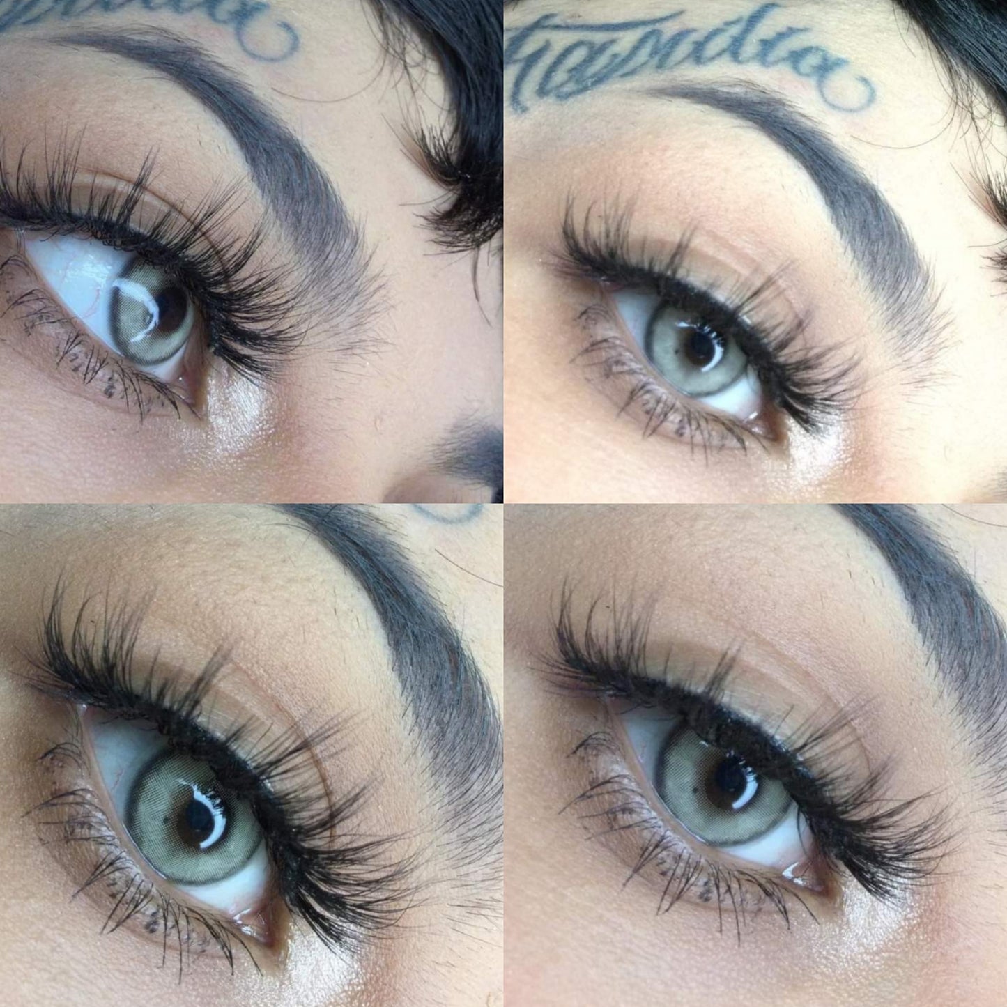 Russian Gray
